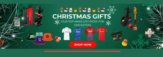 IPL online banner