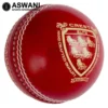 Gray Nicolls Crest Elite Cricket Ball - 156g Senior (IPL)
