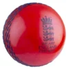 2019 ICC Cricket World Cup Velocity Soft Ball - England (IPL)