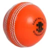 Gray Nicolls Cricket Wonderball - Orange Senior (IPL)