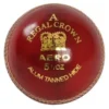 Aero Sports Regal Crown Cricket Ball (IPL)