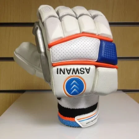 Aswani Cricket Dasher Batting Gloves 