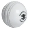 Gray Nicolls Cricket Wonderball - White Junior (IPL)