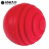 Gray Nicolls Cricket Wobble Ball (IPL)